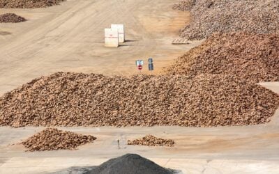 Rare Earth Supply Chains: A Mission-Critical Risk | Part 2